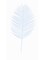 Set of 5 Elegant White 6&#x22; Cycus Plants - Chic and Versatile Indoor D&#xE9;cor, Miniature Botanical Delights for Home and Office Spaces